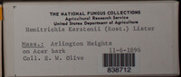 Image Associated With the Occurence
